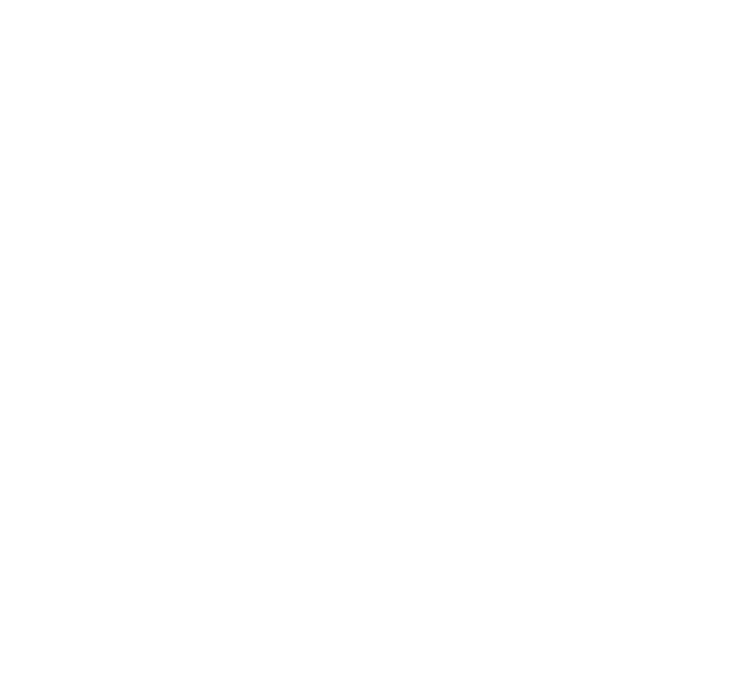 Park4Night