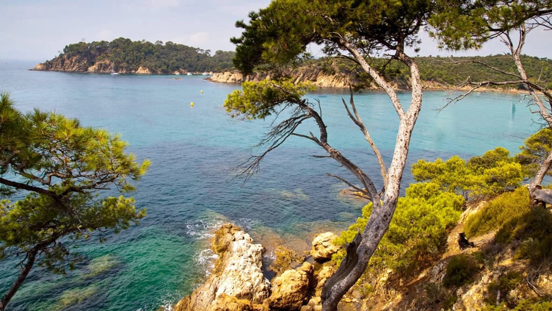 Toulon