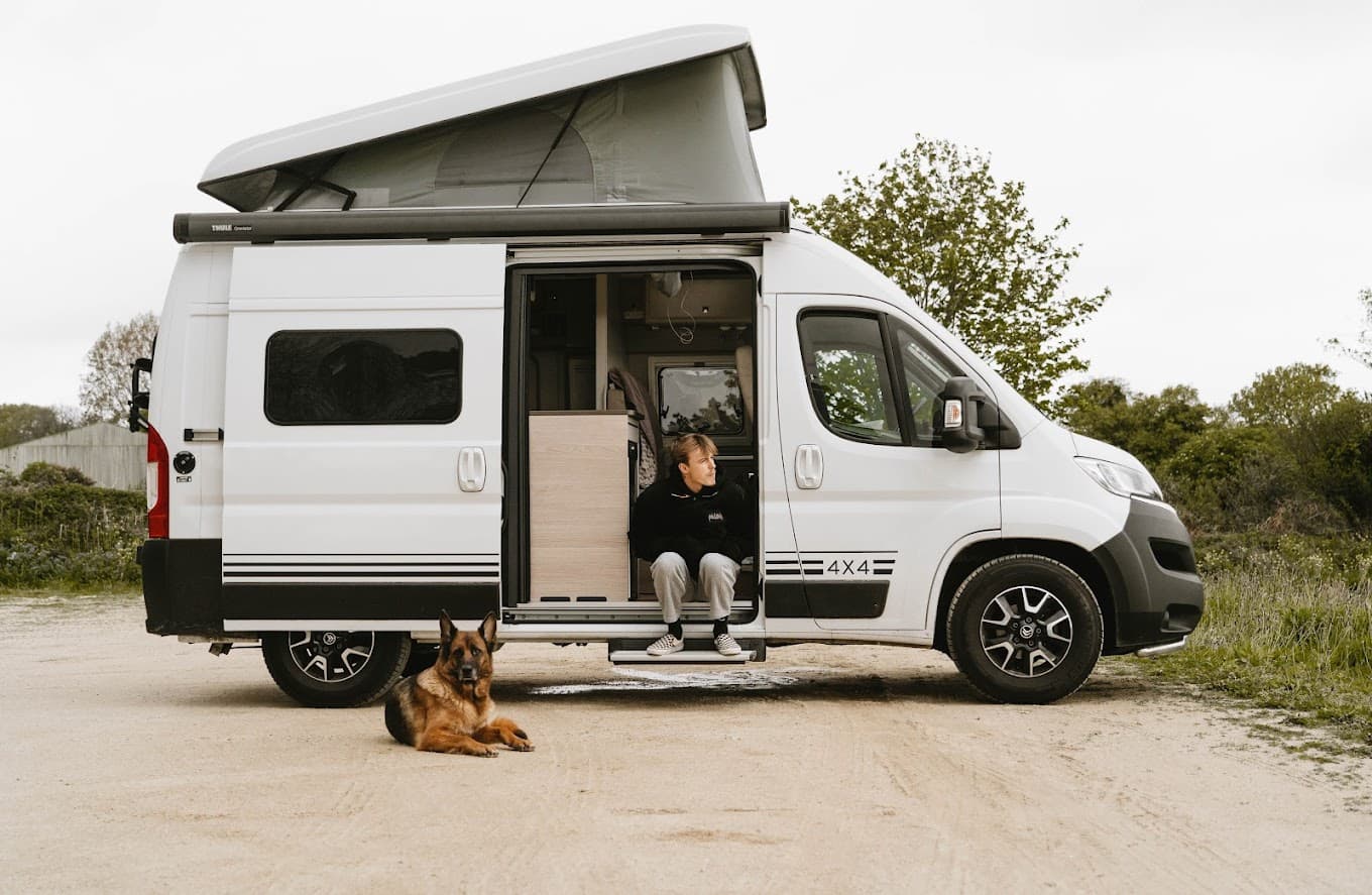 10 conseils pour un road trip avec son chien
